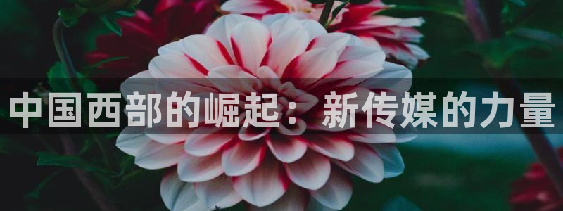 国产传媒星空无线