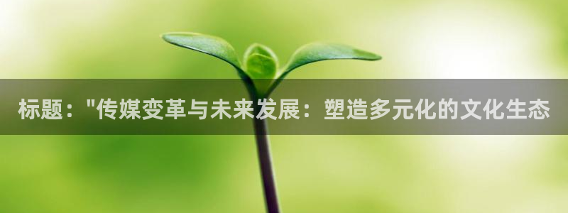 搜索星空无线传媒